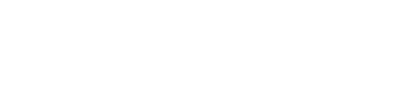 MISSION TO THE FUTURE